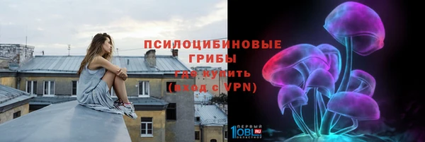 молекула духа Абинск