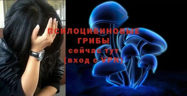молекула духа Абинск