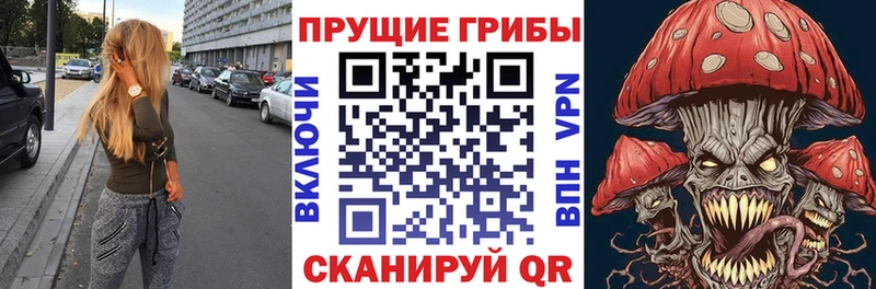 закладка  Карталы  Псилоцибиновые грибы GOLDEN TEACHER 