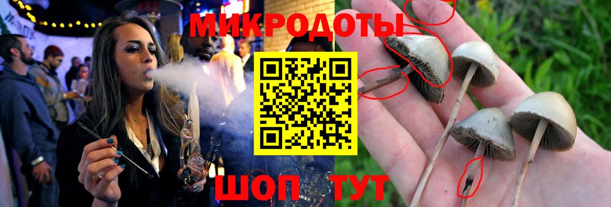 Карталы  Галлюциногенные грибы мицелий  Вход с VPN  Псилоцибиновые грибы мухоморы 
