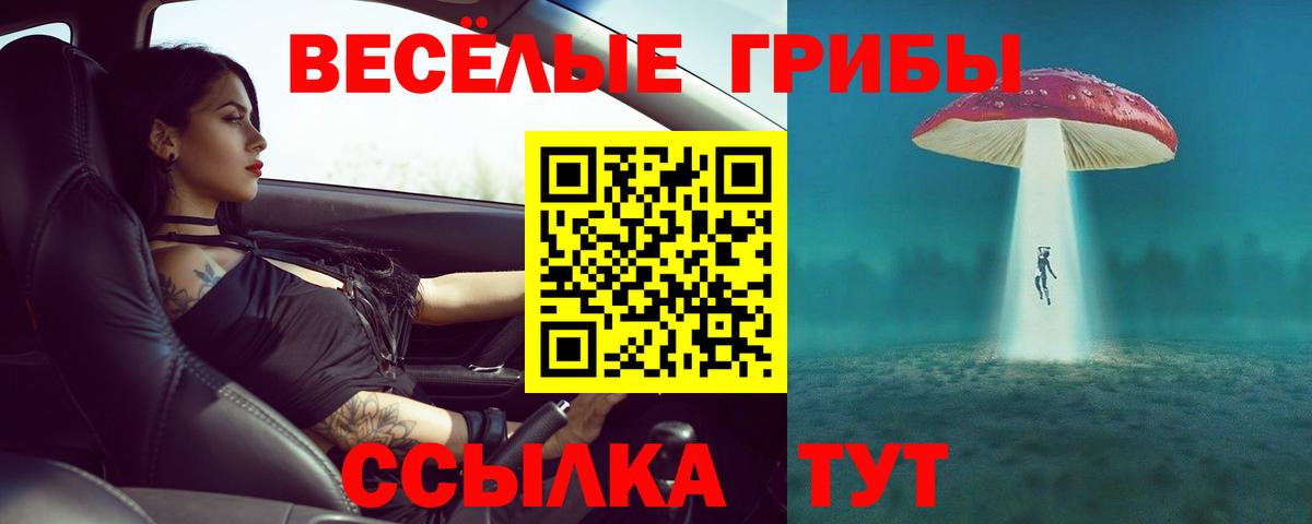 Псилоцибиновые грибы мицелий Карталы
