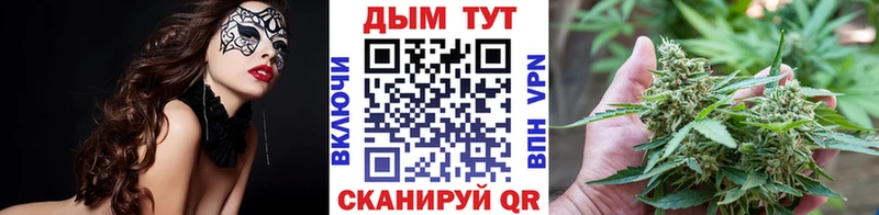 Каннабис сатива Карталы
